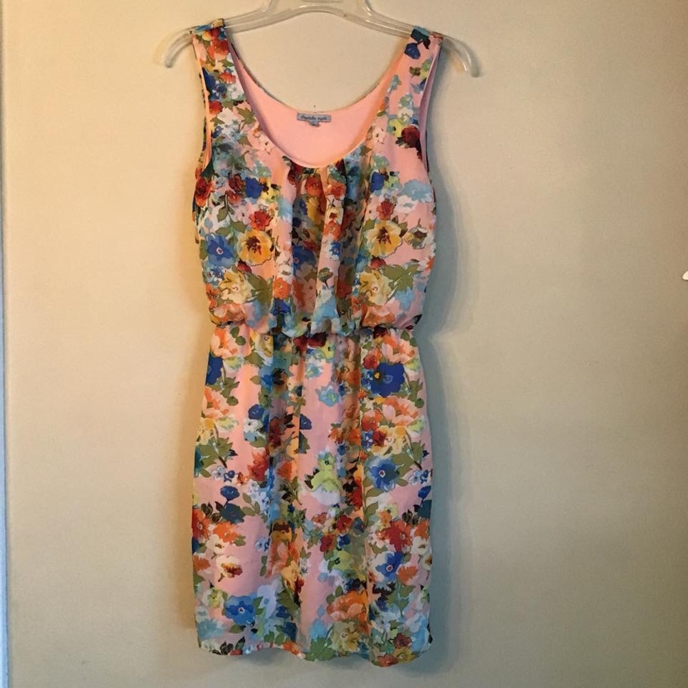 Chiffon Sleeveless Floral Mini Dress